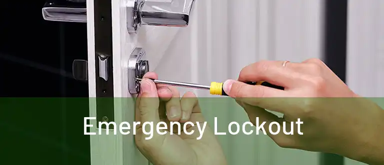  Emergency Lockout 